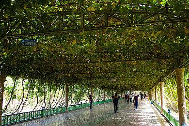 CiGA x Fami通・电击游戏 - 直面会回顾